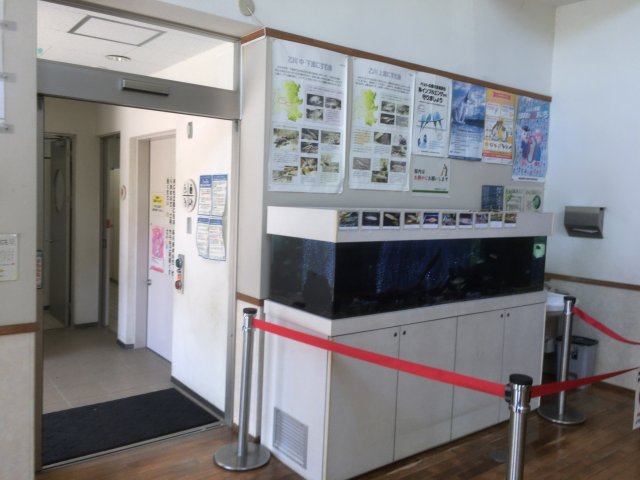 岡崎市動物総合センター(Animo,あにも)に行ってきた kako blog